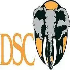 DSC-Convention